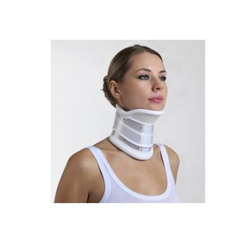 Gibaud-ort.coll.c3 c/ment.1