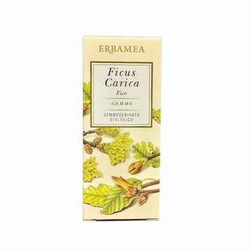 Erbamea Ficus Carica Gemme GD Bio 50 ml