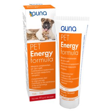 Pet Energyformula Pasta 50G