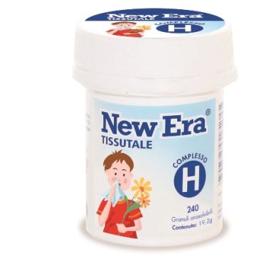 New era h 240gr