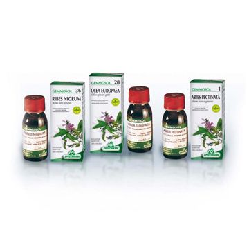 Sp.tilia 46 tiglio gemme 50ml
