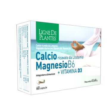 Calcio/mg B6+vit.d3 60 Capsule Nse