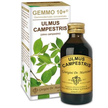 Olmo camp 100ml analc.gemme10+