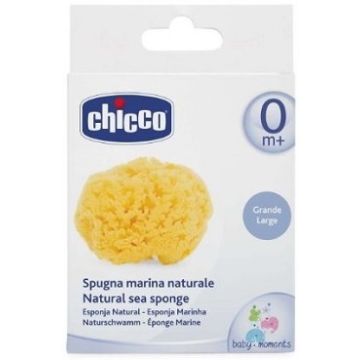 Chicco spugna marina grande