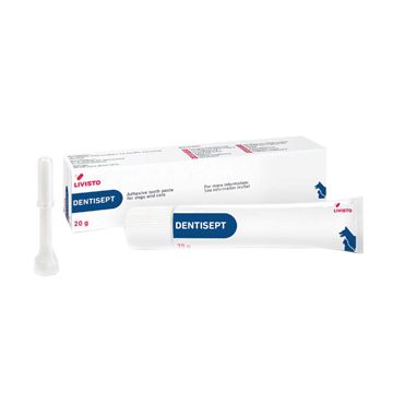 Dentisept Pasta Dentifricio 20G