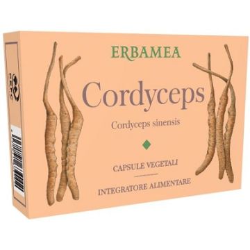 Cordyceps 24 capsule vegetali