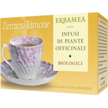 Zenzero/lim bio 20buste erbamea