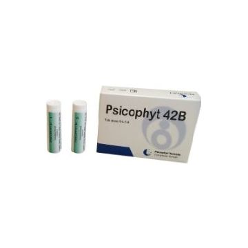 Psicophyt remedy 42b 4 tubi 1,2g