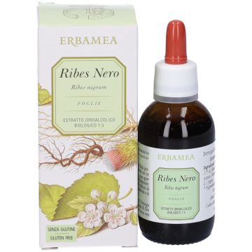 Erbamea Ribes Nero 50 ml
