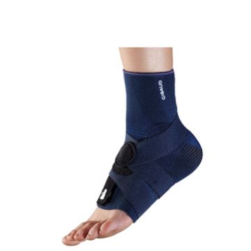 Gibaud-ort.malleogib cav.2