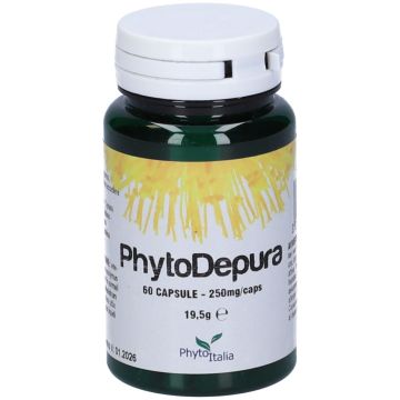 Phytodepura 60 capsule