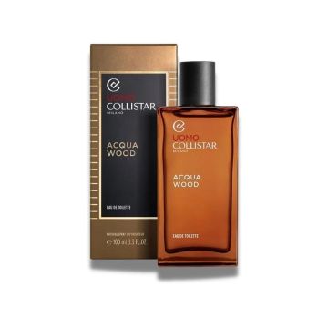 Acqua wood uomo eau de toilette 100 ml