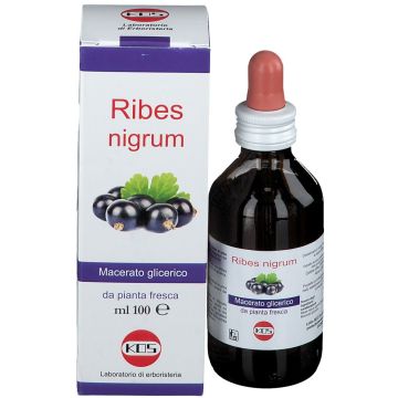 Kos Ribes Nigrum Macerato Glicerico Gocce 100 ml