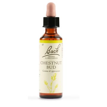 Bach  7 chestnut bud 20ml lkr