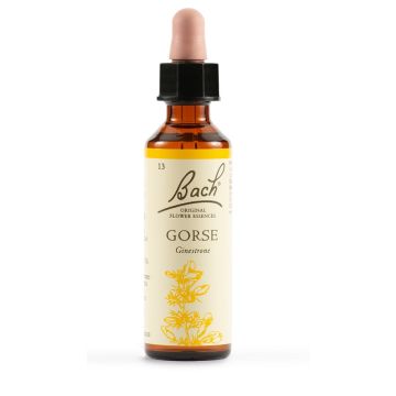 Gorse bach orig 13 20ml