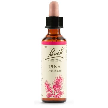 Pine bach orig 20 ml