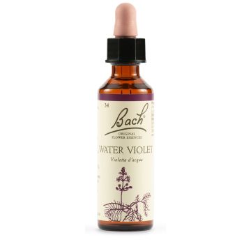 Bach 34 water violet 20ml lkr