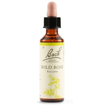 Bach 37 wild rose 20ml