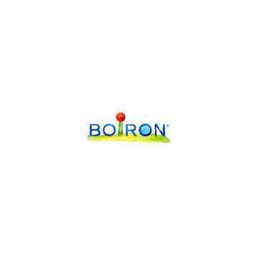 Aconitum napell 6ch gr boir