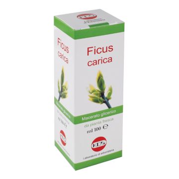 KOS Ficus Carica Macerato Glicerico 100 ml