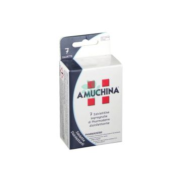 Amuchina salviette disinfettanti 7 pezzi
