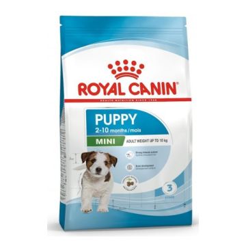 Royal Canin Cane Mini Puppy 2 Kg