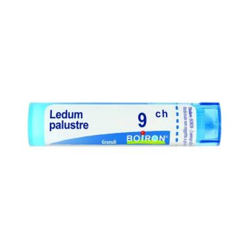Boiron Ledum Palustre 9CH Granuli 4g