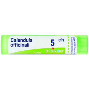 Calendula offic gr 5ch bo