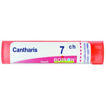 Cantharis gr 7ch bo