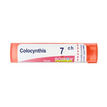 Colocynthis 7ch gr bo