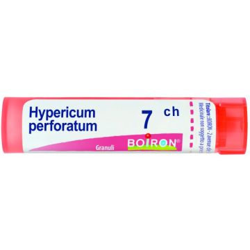 Hypericum perfor 7ch gr
