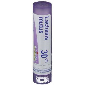 Lachesis mutus 30ch gr bo