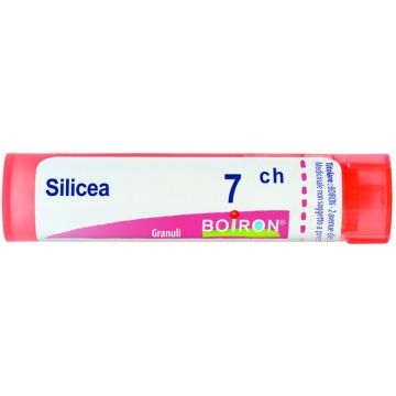 Silicea 7ch gr bo