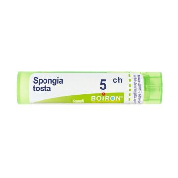 Spongia tosta 5ch gr bo