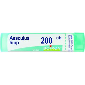 Aesculus hippocast 200ch gl