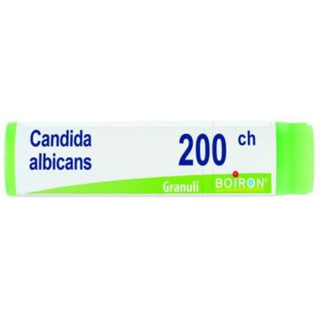 Candida albican 200ch gl bo