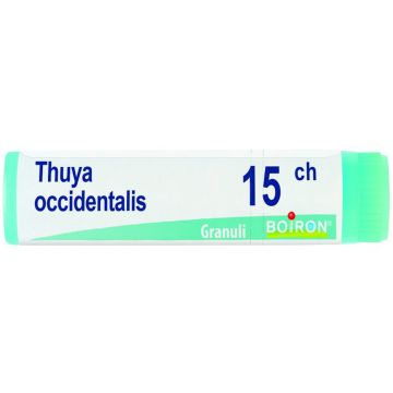 Thuya occident 15ch gl bo