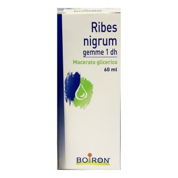 Ribes nigrum gemme 60ml mg bo