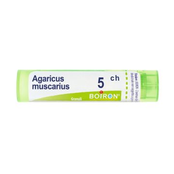 Agaricus muscar bo tg  5ch