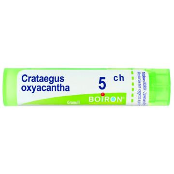 Crataegus oxyac bo  tg 5ch