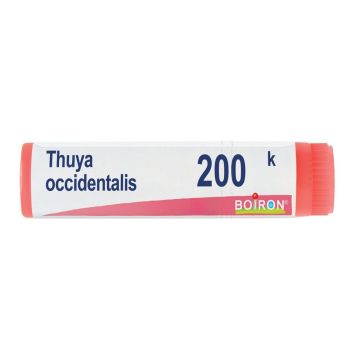 Thuya occident 200k gl bo