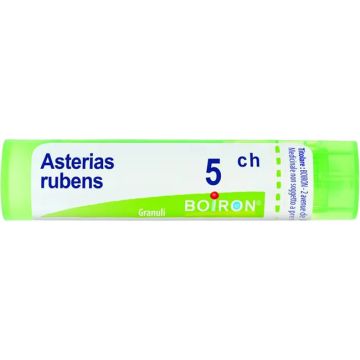 Asterias rubens 5ch gr