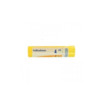 Folliculinum 4ch gr bo