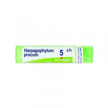 Harpagophytum procum 5ch gr