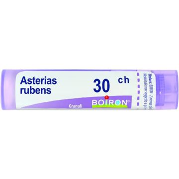Asterias rubens 30ch gr