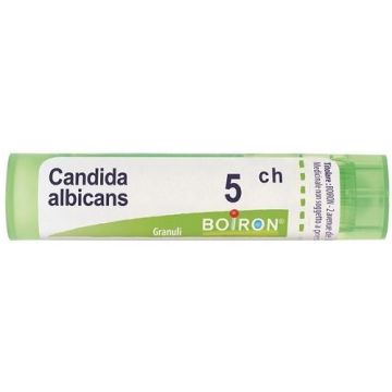 Candida albican 5ch gr bo