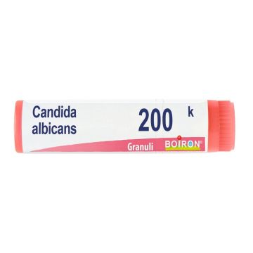 Candida albicans 200k gl  bo