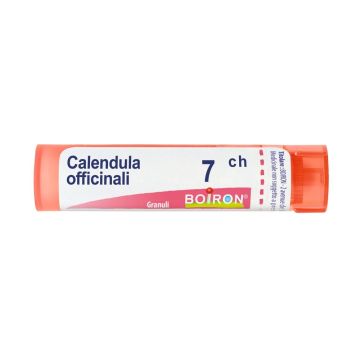 Calendula 7ch gr