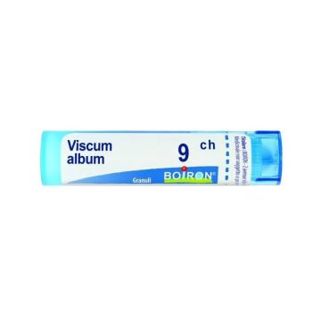 Viscum album 9ch gr