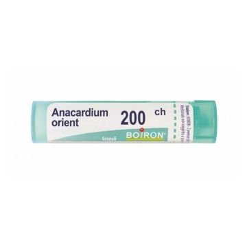 Anacardium orient 200ch gr bo